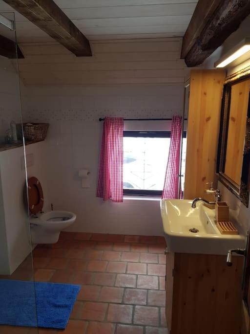 Apartmán Malšín Exteriér fotografie